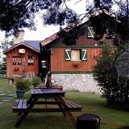 Niu Dels Falcons Bed and Breakfast La Molina  Esterno foto